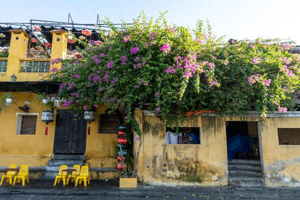 Authentic Hoi An & Hue Tour - 6 Days - photo 50